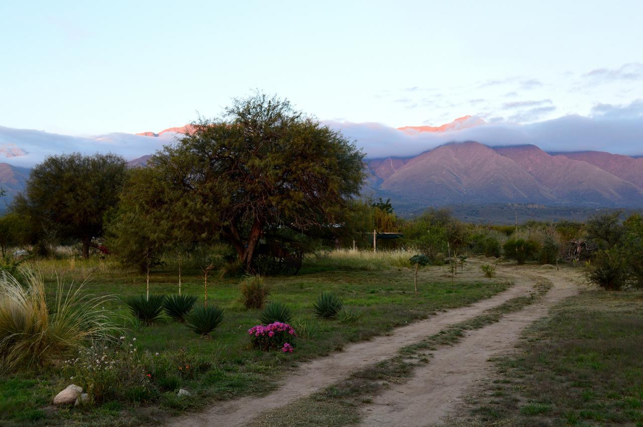 La Teresita Posada Hotel San Javier  Eksteriør billede