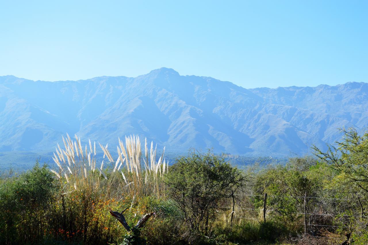 La Teresita Posada Hotel San Javier  Eksteriør billede