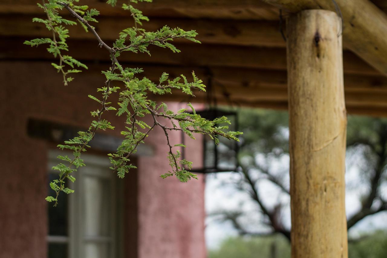 La Teresita Posada Hotel San Javier  Eksteriør billede